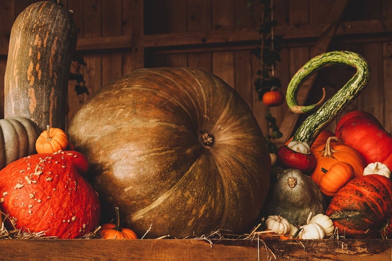 Pumpkin Soup